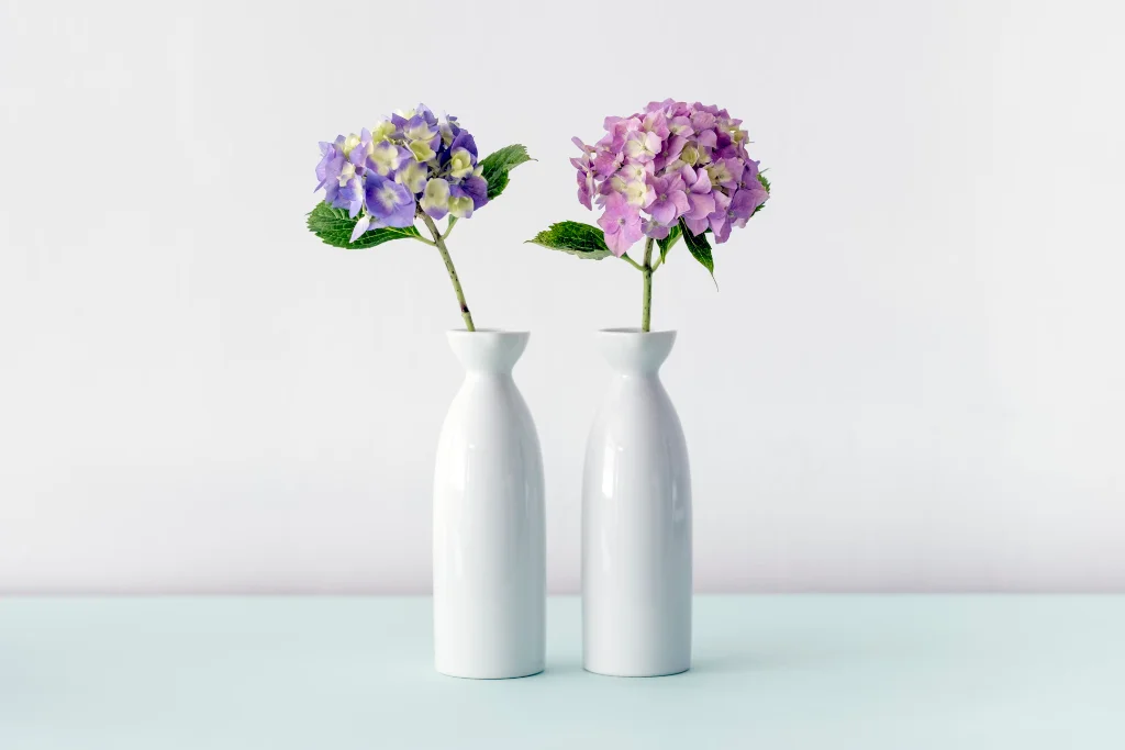 Verpackungsdesign